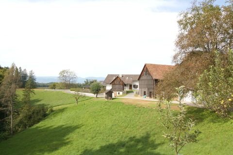 Sankt Josef (Weststeiermark) Bauernhöfe, Landwirtschaft, Sankt Josef (Weststeiermark) Forstwirtschaft