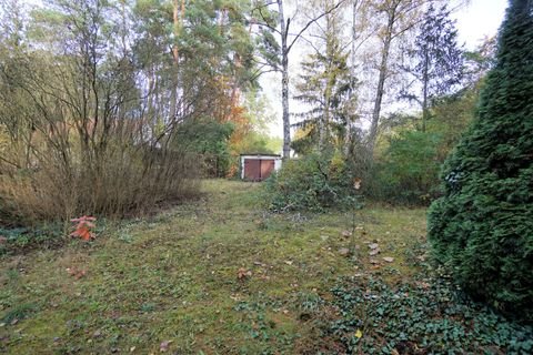 Borkheide Grundstücke, Borkheide Grundstück kaufen