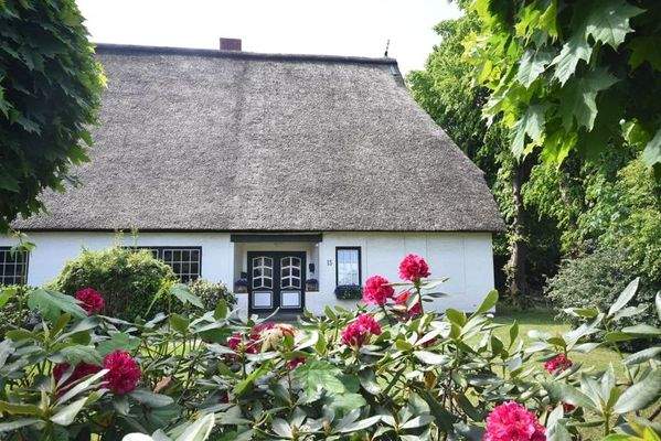 Blick auf den Haupteingang