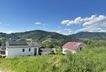 IMG_8667.jpeg