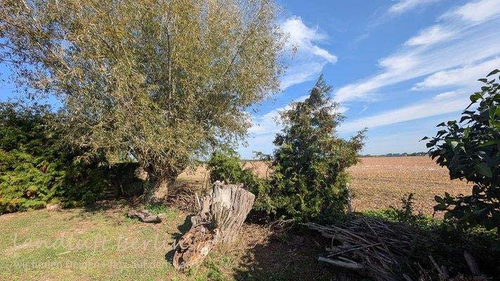 Blick vom Grundstück nach Südwesten.jpg