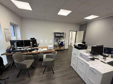 Hamburg Halle, Hamburg Hallenfläche