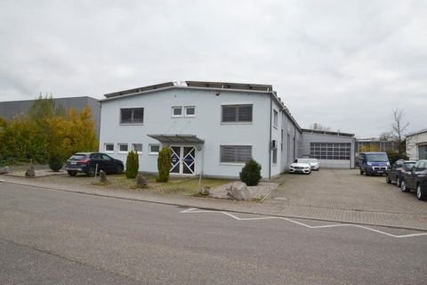 Kehl Halle, Kehl Hallenfläche