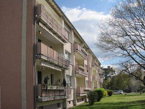 Eggenstein-Leopoldshafen Wohnungen, Eggenstein-Leopoldshafen Wohnung mieten