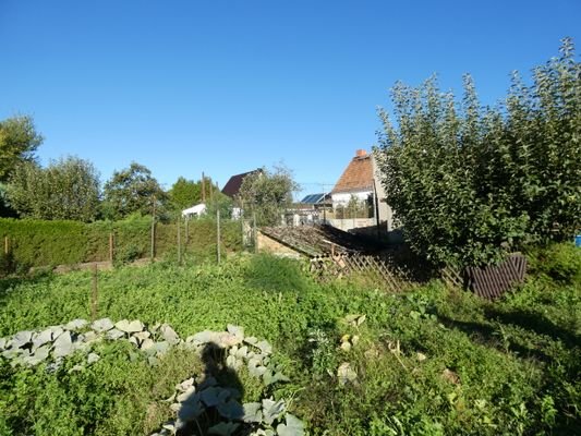 006-Garten.JPG