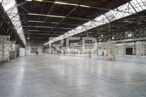 Bochum Halle, Bochum Hallenfläche