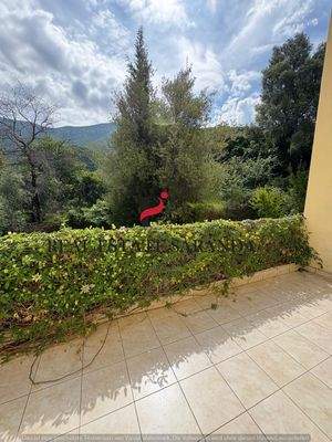 WhatsApp Image 2025-05-11 at 10.27.33-3.jpeg