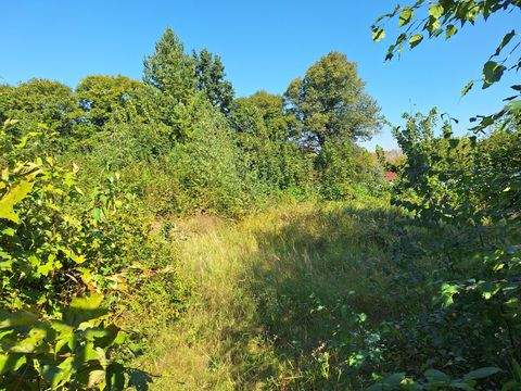 Groß Pankow (Prignitz) Grundstücke, Groß Pankow (Prignitz) Grundstück pachten