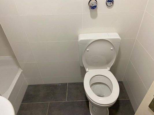 Toilette u Dusche neu gefließt