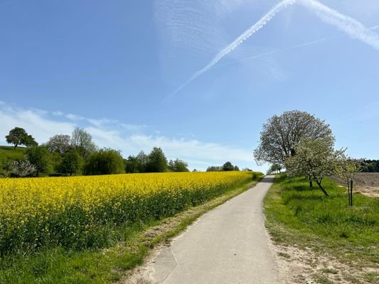 Direkter Blick ins Feld