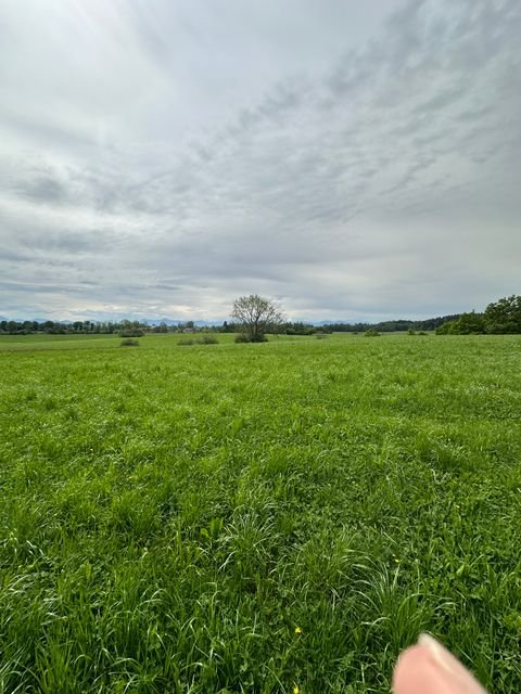 Weilheim in Oberbayern Grundstücke, Weilheim in Oberbayern Grundstück kaufen