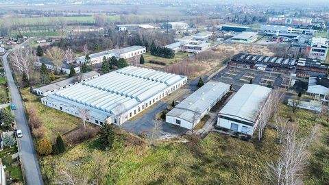 Coswig Halle, Coswig Hallenfläche