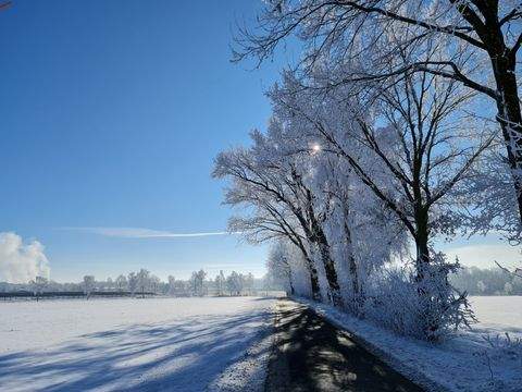 Hamburg Halle, Hamburg Hallenfläche