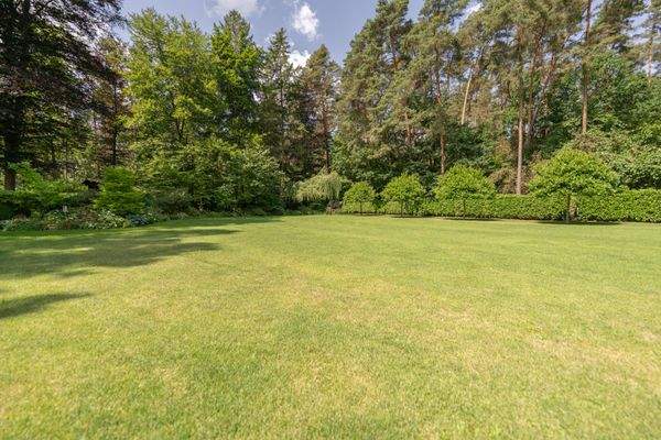 Rasenfläche Haupthaus