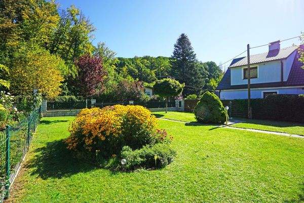 Blick über den Garten nach Osten