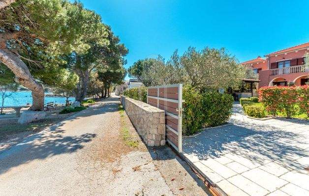 Mediterran bepflanzter Garten