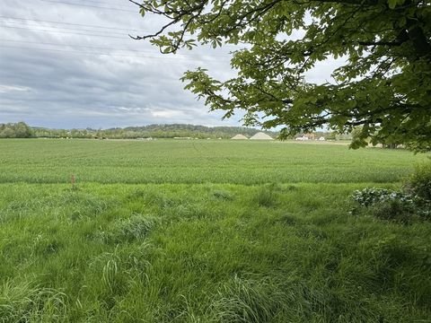 Landshut-Münchnerau Bauernhöfe, Landwirtschaft, Landshut-Münchnerau Forstwirtschaft