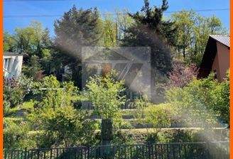 Blick ins Grundstück