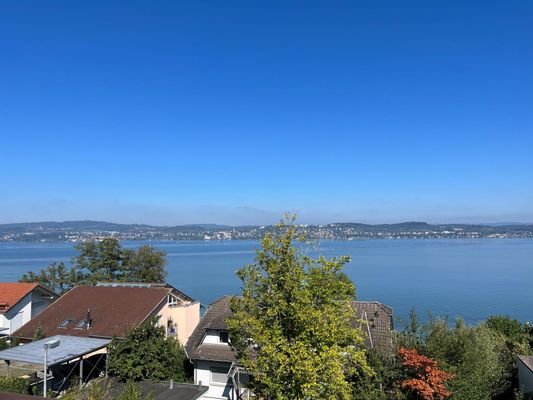 Blick über den Bodensee