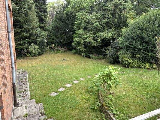 Blick in den Vorgarten