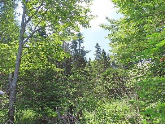 Cape Breton - Wunderschönes 11-Hektar-Areal mit 23