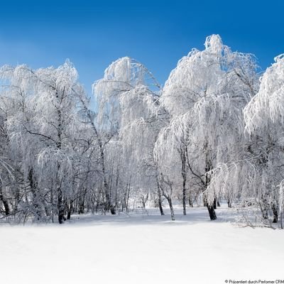 Im winter bei Ihnen um die Ecke