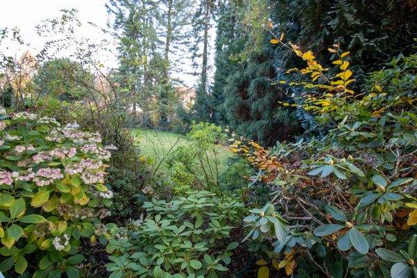 Blick aus dem Wohnzimmer