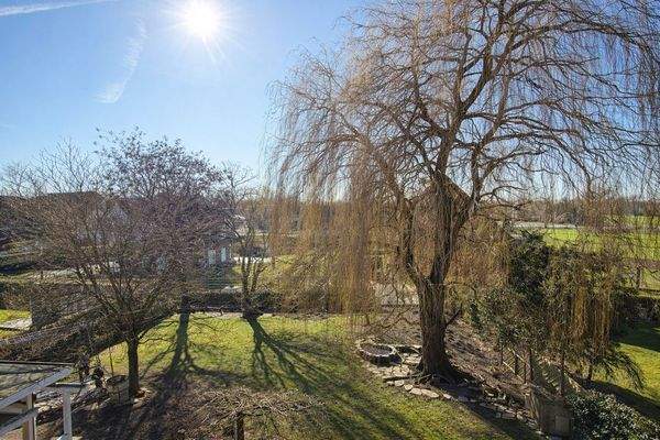 Gartenansicht aus dem Atelier