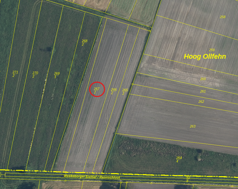 Westoverledingen Bauernhöfe, Landwirtschaft, Westoverledingen Forstwirtschaft