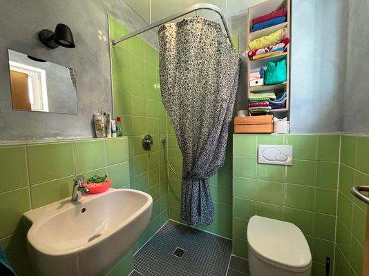 Gäste-Duschbad Erdgeschoss