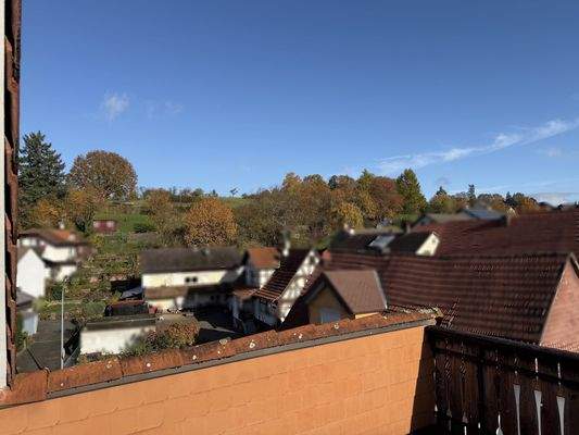 DG_Ausblick Terrasse