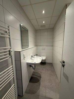 WhatsApp Image 2026-02-11 at 14.54.41