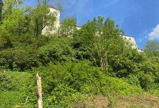 Schlossansicht vom Garten