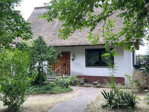 Heringsdorf Häuser, Heringsdorf Haus kaufen