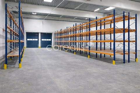 Hilden Halle, Hilden Hallenfläche