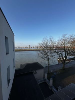 IMG_5334