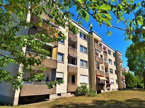 Frankenthal (Pfalz) Wohnungen, Frankenthal (Pfalz) Wohnung mieten