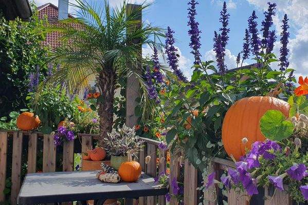 Balkon-Paradies Wo 3 (Sommer)