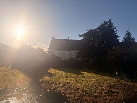 Blick aus dem Garten