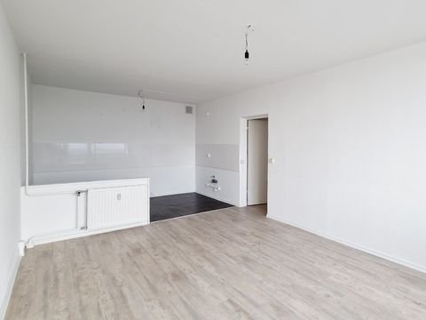 Dresden Wohnungen, Dresden Wohnung mieten