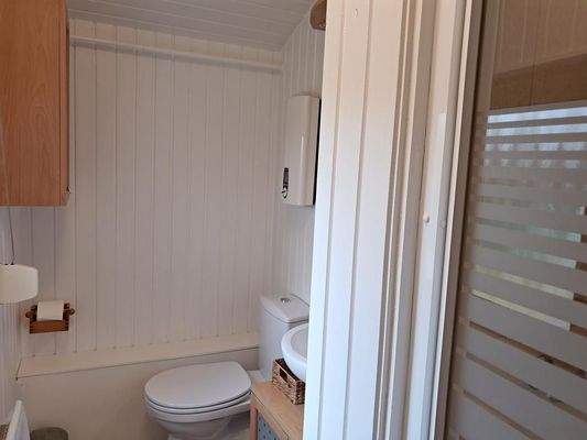 Kleines Duschbad mit Tageslicht