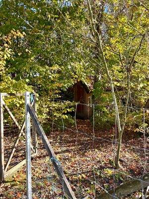 Garten (Hühnerstall)