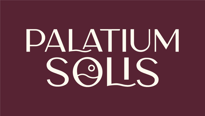 Palatium Solis
