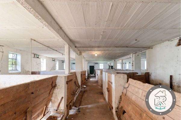 Ursprüngliche Schweinestallungen