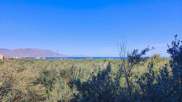 Kreta, Drapanias: Neubauhaus inmitten von Olivenhainen in Strandnähe zu verkaufen