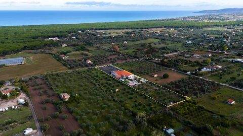 Marina di Sorso Gastronomie, Pacht, Gaststätten