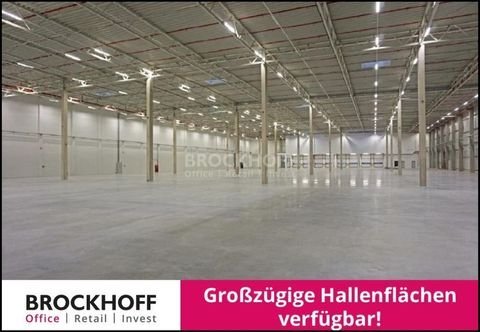 Gelsenkirchen Halle, Gelsenkirchen Hallenfläche