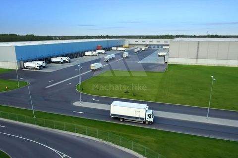 Herrieden Halle, Herrieden Hallenfläche