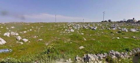 Ortelle Grundstücke, Ortelle Grundstück kaufen