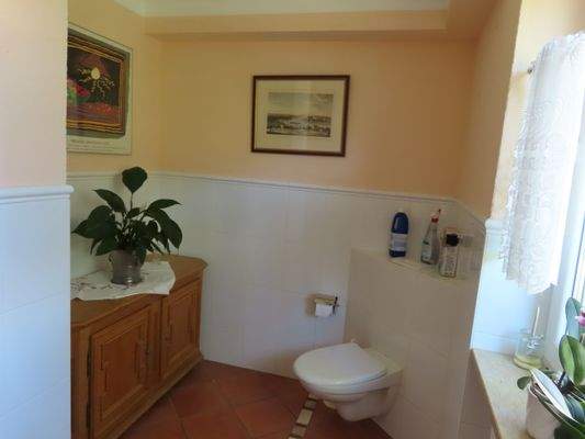 6 Die Toilette selber.JPG